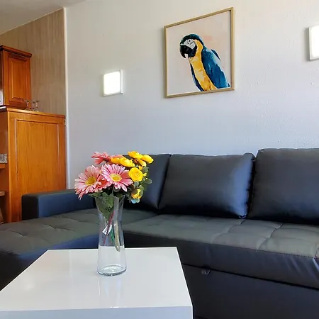 Apartment Camelias C14 Playa del Inglés